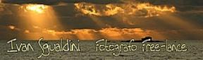 Banner250px