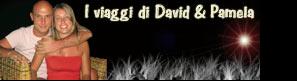 bannerdavidpam