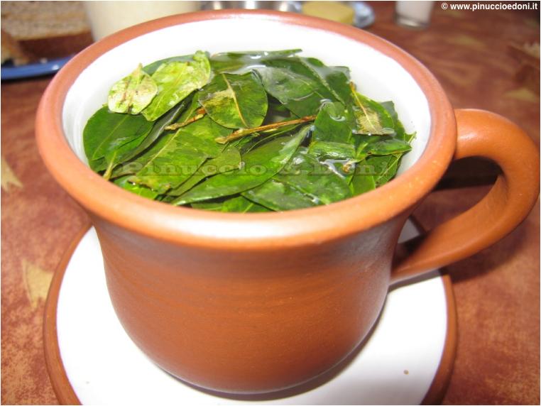 BOLIVIAMatedeCoca1