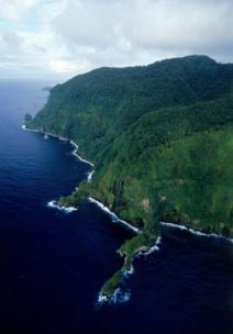 cocosisland3