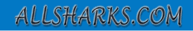 CopiadiBannerMovingShark1