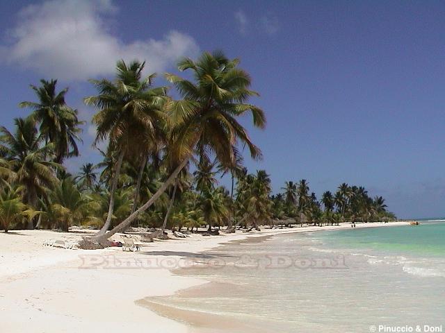 DSC000971