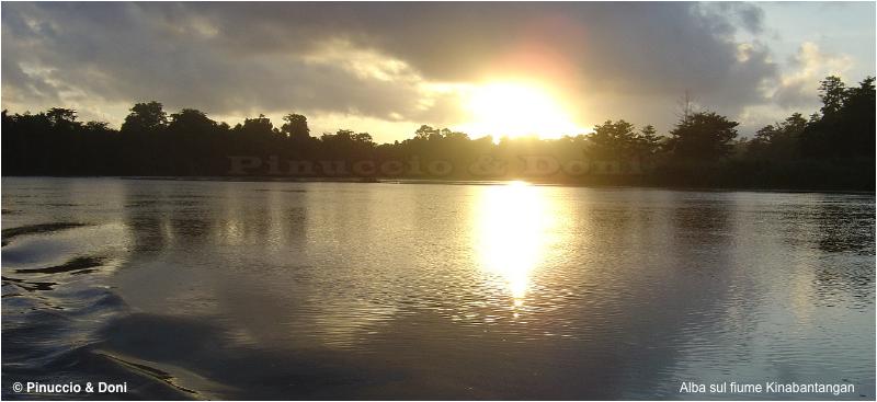 Kinabantangan river