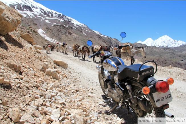 HimalayaconRoyalEnfield021dallaSpitiValleyalKunzumPasscopia