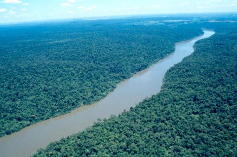 Iguazuelicotteroforesta