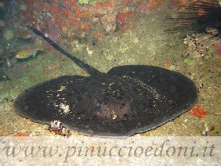IMG1756