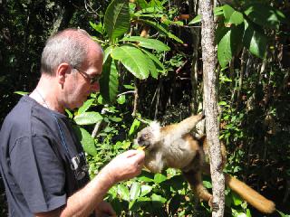 madagascarankazoberavina050