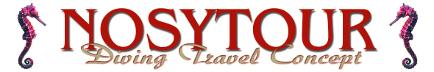 NOSYTOURlogoTn4