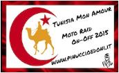 Tunisiabandieraelogoxadesivocopia1