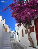 mikonos_04