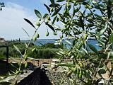 Sirmione_09