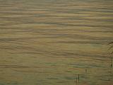 Sirmione_31