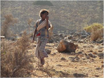 socotra2009100